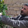Paul Nevin Yemen Photo Qat production